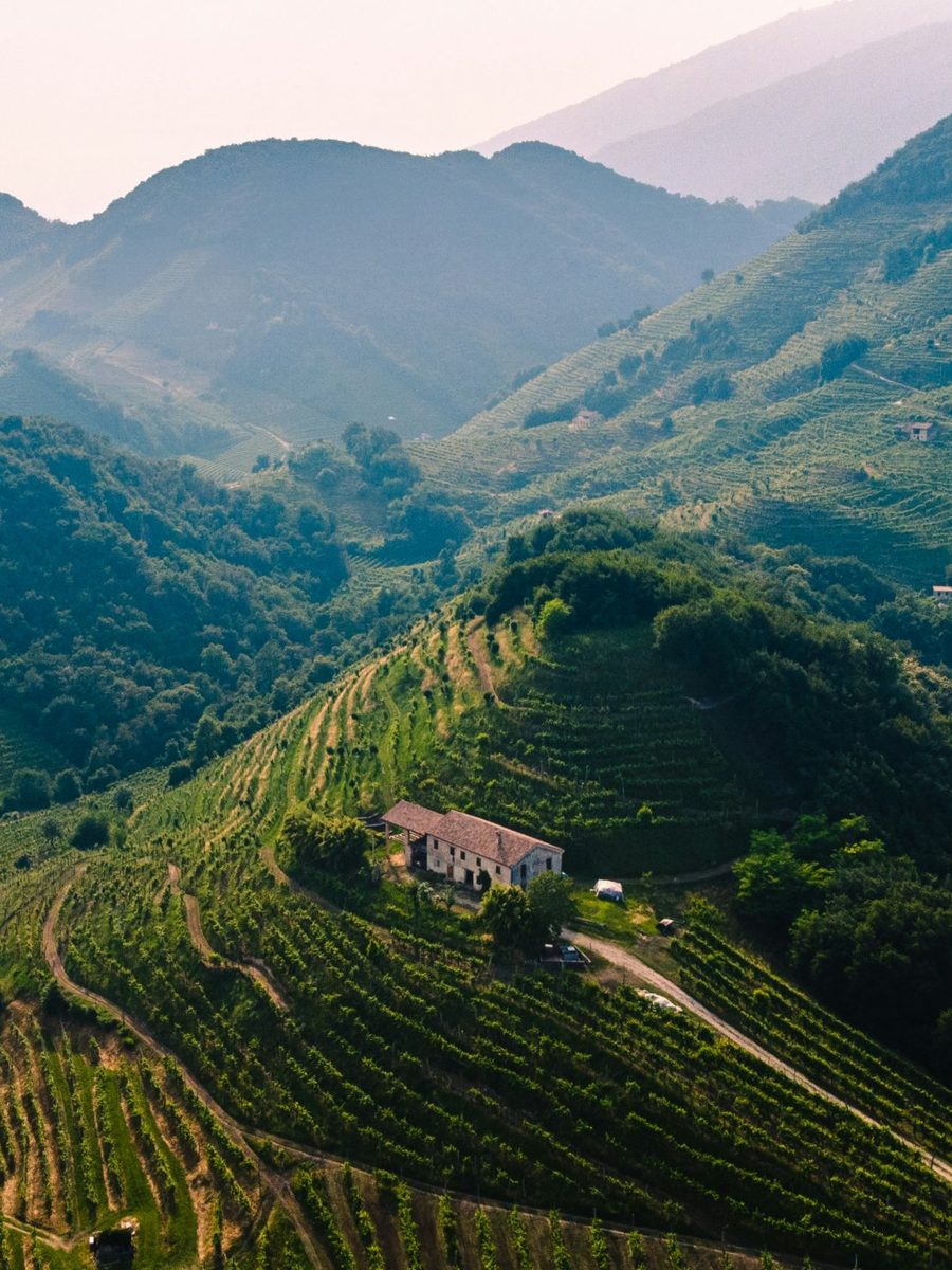 Vineyards on the steep Prosecco hills around Valdobbiadene, seen from above