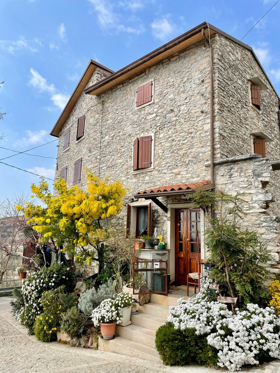 A stone house with mimosa in flower in the Valpolicella hills